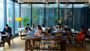 Experience the New Metro North Lifestyle with North Commons